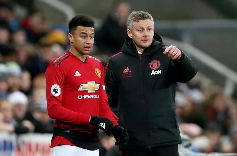 职业规划者 职业规划者